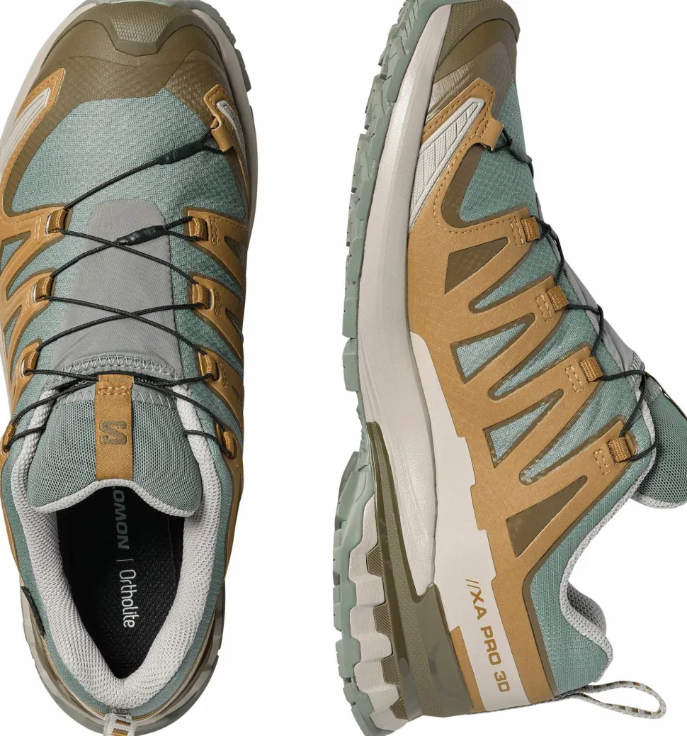 Salomon Men's XA 3D Pro V9 GORE-TEX Sedona Sage/Plantation/Paloma