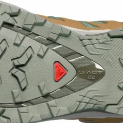 Salomon Men's XA 3D Pro V9 GORE-TEX Sedona Sage/Plantation/Paloma