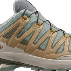 Salomon Men's XA 3D Pro V9 GORE-TEX Sedona Sage/Plantation/Paloma