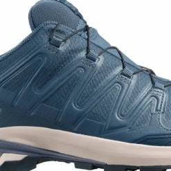 Salomon Men's XA 3D Pro V9 GORE-TEX Spellbound/Grisaille/Maritime Blue
