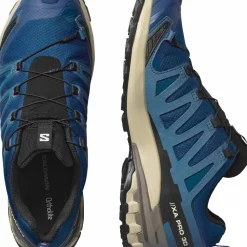 Salomon Men's XA 3D Pro V9 GORE-TEX Poseidon/white Pepper/falcon