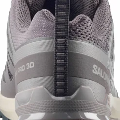Salomon Men's XA Pro 3D V9 Dark Gull Gray/Cloudburst/Asphalt