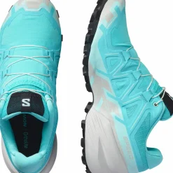 Salomon Women's Speedcross 6 Blue Curacao/Lunar Rock/Iced Aqua