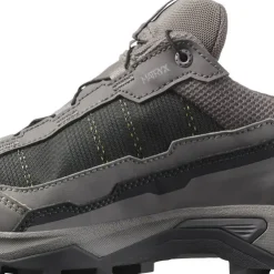 Salomon Women's X Ultra 5 GORE-TEX Plum Kitten/nine Iron/soft Clay
