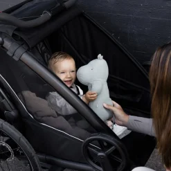 Thule Chariot Sport 2 G3 Black