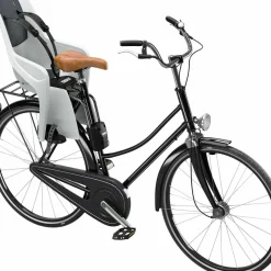 Thule RideAlong Lite 2 Frame Mount Light Grey