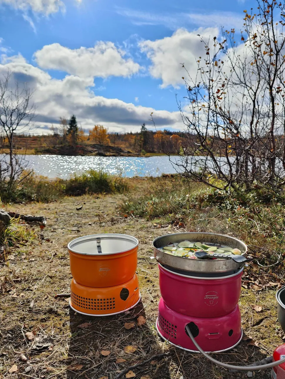 Trangia 100 Years Edition Stormkök 25-1/Ul Power Pink